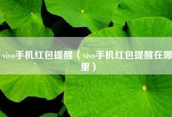 vivo手机红包提醒（vivo手机红包提醒在哪里）