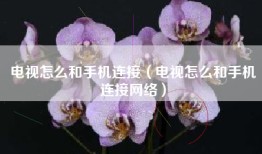 电视怎么和手机连接（电视怎么和手机连接网络）