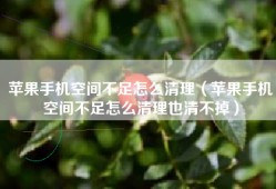 苹果手机空间不足怎么清理（苹果手机空间不足怎么清理也清不掉）