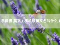 手机膜 英文（手机膜英文名叫什么）