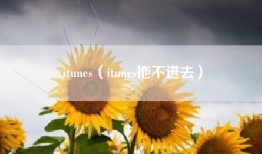 itunes（itunes拖不进去）