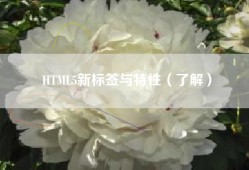 HTML5新标签与特性（了解）