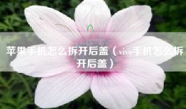 苹果手机怎么拆开后盖（vivo手机怎么拆开后盖）