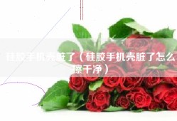 硅胶手机壳脏了（硅胶手机壳脏了怎么擦干净）