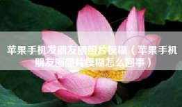 苹果手机发朋友圈照片模糊（苹果手机朋友圈照片模糊怎么回事）