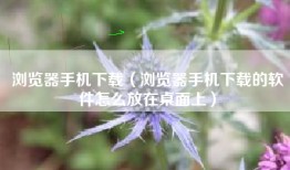 浏览器手机下载（浏览器手机下载的软件怎么放在桌面上）