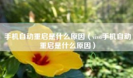 手机自动重启是什么原因（vivo手机自动重启是什么原因）