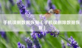 手机误删数据恢复（手机误删除数据恢复）