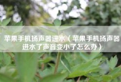 苹果手机扬声器进水（苹果手机扬声器进水了声音变小了怎么办）