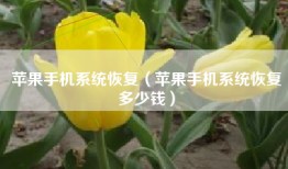 苹果手机系统恢复（苹果手机系统恢复多少钱）