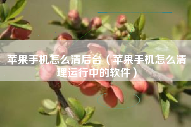 苹果手机怎么清后台（苹果手机怎么清理运行中的软件）