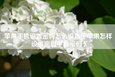 苹果手机设置密码怎么设置（苹果怎样设置密码手机密码）