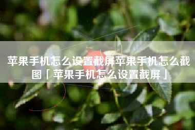 苹果手机怎么设置截屏苹果手机怎么截图「苹果手机怎么设置截屏」