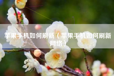 苹果手机如何刷新（苹果手机如何刷新网络）