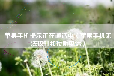 苹果手机提示正在通话中（苹果手机无法拨打和接听电话）