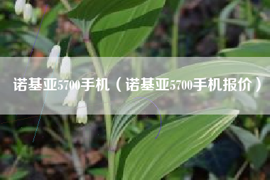 诺基亚5700手机（诺基亚5700手机报价）