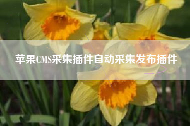 苹果CMS采集插件自动采集发布插件