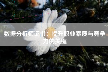 数据分析师证书：提升职业素质与竞争力的关键